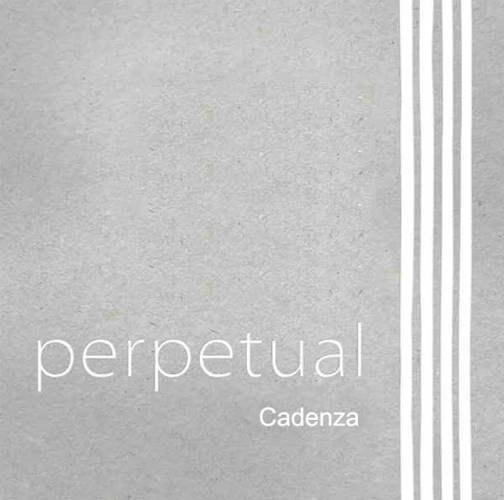 A gray background with four vertical white lines on the right side. The word “perpetual” appears in lowercase white letters on the left, and the word “Cadenza” is written in smaller white letters underneath.